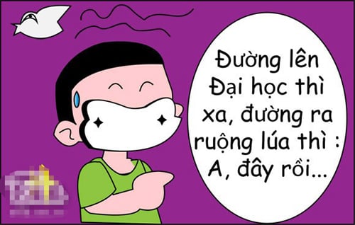 Đường lên Đại học thì xa/ Đường ra ruộng lúa thì... A, đây rồi!