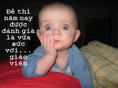 Đề thi vừa sức với... giáo viên.
