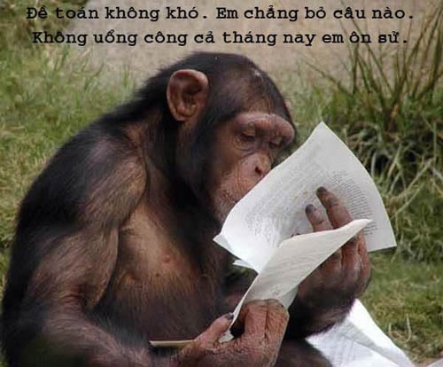Đề toán không khó.
