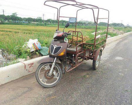 Xe máy ba bánh rất tiện cho bà con nhà nông.