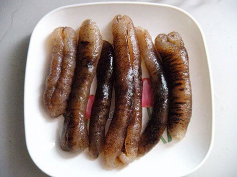 Được ví như “nhân sâm của đại dương”, những con hải sâm vừa là một vị thuốc quý, vừa là loại thực phẩm cao lương mỹ vị dành cho các bậc vua chúa thời xưa. Hiện 1kg hải sâm thô trên thị trường có giá gần 2 triệu đồng.