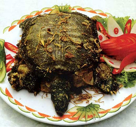 Trong thời buổi kinh tế khó khăn, không ít đại gia sẵn tay chi 150 triệu chỉ để mua có 3 con rùa vàng cho một bữa ăn. Nhiều thực khách cho rằng, rùa vàng cực quý hiếm, nó sống trên đại ngàn, hấp thụ linh khí của trời đất nên máu thịt tinh khiết, đại bổ, ăn vào tăng cường sinh lực, đặc biệt ai có bệnh tim nếu uống rượu pha mật rùa, huyết rùa sẽ khỏi. Tuy nhiên, mức giá thì không hề rẻ chút nào, lên đến 50 triệu một con.