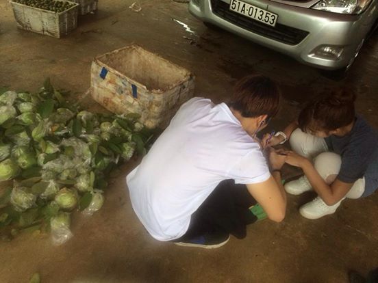 Khởi My định chuyển nghề sang bán ổi.
