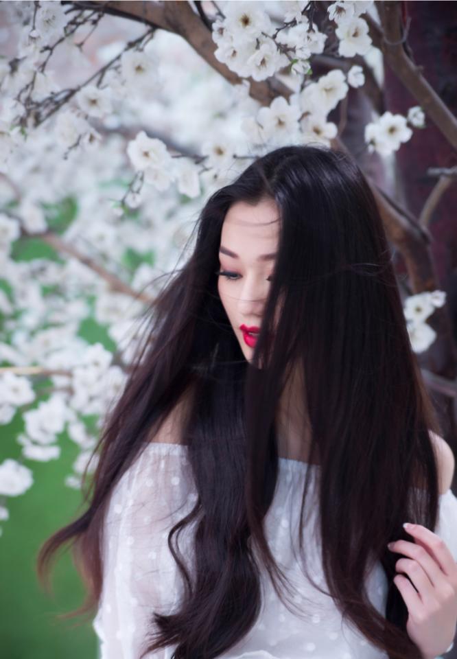 Khánh My đẹp lãng mạn với bức ảnh bên hoa Anh Đào lụa.