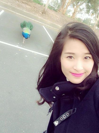 Đông Nhi đang lưu diễn tại Úc.