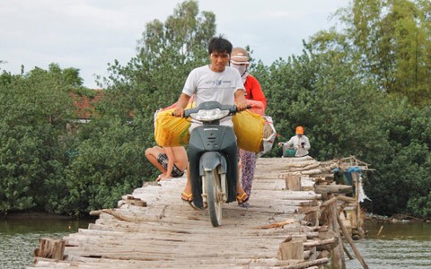 Cầu dài khoảng 100 m, rộng chừng 1,5 m được ghép bằng gỗ, tre nứa, chằng buộc bằng đủ thứ sợi thép và có cả lốp xe đạp.
