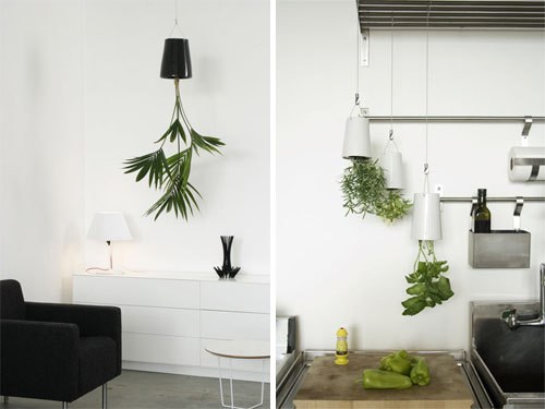 Phần đáy chậu có lỗ nhỏ luồn dây chắc chắn nên thay vì đặt nó lên bàn, kệ, hay bậu cửa sổ, loại chậu cảnh này lại được treo đảo ngược.