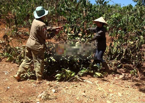 Yasuy và những công việc thường ngày của mình.