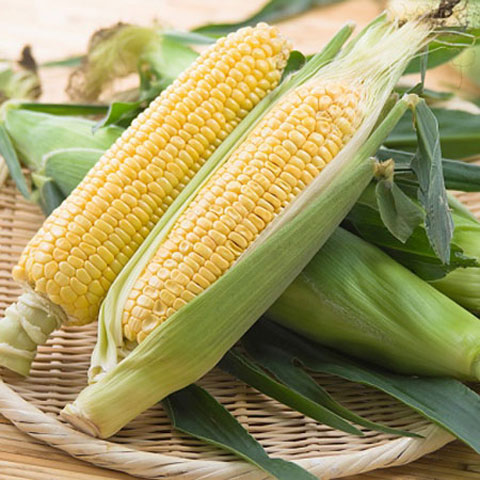 Ngô. Nghiên cứu của trường đại học Maryland phát hiện ra rằng một thành phần chất xơ được tìm thấy trong ngô có thể ngăn chặn sự phát triển của ung thư. Các nhà Shbet888.com tỷ lệ cược cao suy đoán các hợp chất IP6 được tìm thấy trong ngô sẽ làm cho tế bào ung thư ngừng phân chia.