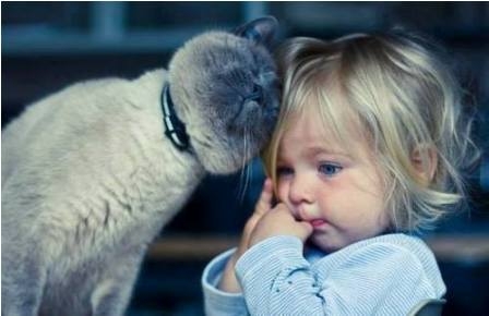 Đừng buồn bị mẹ mắng nhưng đã có tớ ở bên.