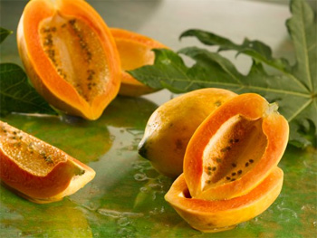 Nuôi dưỡng da. Đu đủ rất giàu vitamin A và enzyme Papain. Nó giữ cho da giữ nước, dưỡng ẩm, và là một thành phần phổ biến trong mặt nạ tự chế, đặc biệt là trong mùa đông. Bạn có thể kết hợp đu đủ nghiền nát với Link Vào SHBET88 Mới Nhất để làm mặt nạ dưỡng ẩm, làm sáng da và khuôn mặt bạn sẽ rạng rỡ hơn. Nó cũng giúp bạn loại bỏ các tế bào da chết.
