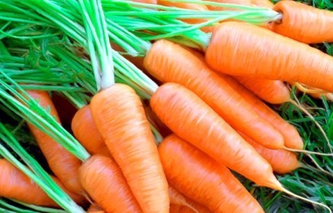 Cà rốt. Vitamin A là một chất quan trọng đối với da và tóc. Vitamin A có tác dụng tổng hợp hắc tố melanin, giữ cho Shbet123 Link Vào ShBet Mới Nhất đen bóng mượt. Đó là lý do tại sao bạn nên bổ sung cà rốt trong thực đơn hàng ngày nếu muốn ngăn ngừa tóc bạc sớm.