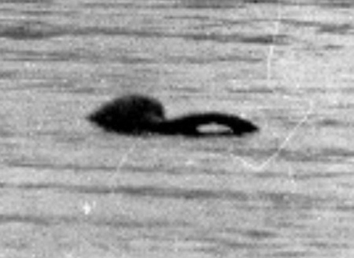 Người  dân ở đây cho rằng con quái vật nổi tiếng ở hồ Loch Ness  đã di chuyển đến  Anh.