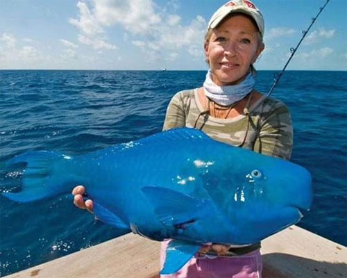 Cá vẹt lam hay cá vẹt xanh (Scarus coeruleus), một loài cá có màu xanh lam trong họ cá vẹt, thuộc chi Scarus. Người ta phát hiện loài cá này ở Đại Tây Dương. Những con trưởng thành có mõm lớn, giống như mỏ chim vẹt.