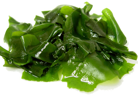Trong biển có chứa nhiều dưỡng chất thiết yếu cho Sh88bet đăng ký miễn phí, tốt cho hệ tuần hoàn, bài tiết, giúp thải độc, lưu thông máu, tăng tiết sữa, do đó, rong biển là loại thực phẩm được khuyến khích dùng nhiều trong chế độ ăn uống của phụ nữ trong thời kỳ mang thai và cho con bú. Với loại thực phẩm này, các mẹ có thể làm món salad rong biển hoặc đậu phụ nhồi thịt rong biển.