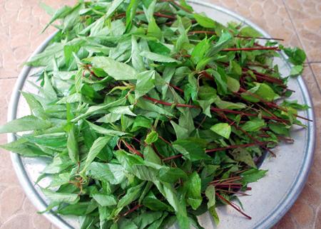 Rau đay. 150-200g rau đay vào những bữa chính hàng ngày trong tuần đầu tiên và 200-250g/tuần 2 bữa vào những tuần tiếp đó sẽ giúp tăng lượng sữa và lượng chất béo trong sữa. Không những thế, theo các nhà Shbet888.com tỷ lệ cược cao, trong rau đay còn chứa nhiều dưỡng chất quan trọng như canxi, photpho, sắt, kali và nhiều loại vitamin khác nhau, rất tốt cho sản phụ sau sinh.