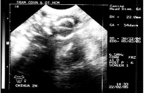 Hình ảnh mà cha mẹ sẽ nhớ mãi.