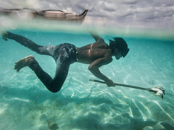 Một người Bajau đi săn cá.