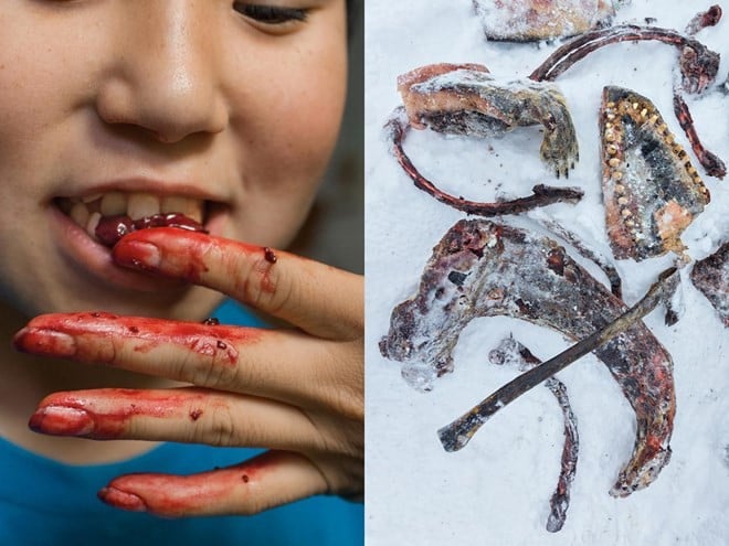 Không có rau, người Inuit ăn thịt sống để giữ được tối đa các vi chất trong thực phẩm. Bởi vitamin là thứ dễ bị hủy hoại trong quá trình nấu nướng.