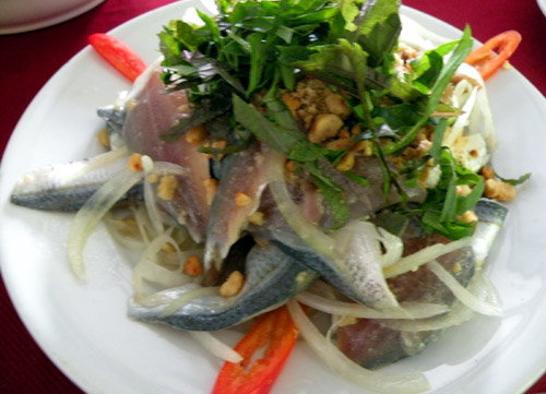 Ăn cá sống, coi chừng sán lá gan 