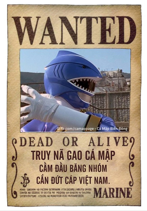 Lệnh truy nã hung thủ cắt cáp quang.
