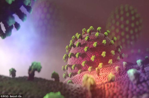 Hình ảnh phóng đại của một con virus bên trong Sh88bet đăng ký miễn phí người.