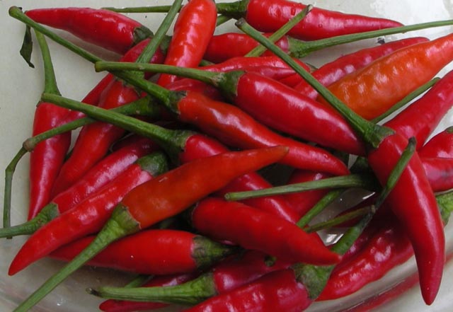 Các loại ớt xanh, vàng và đỏ cũng là những thực phẩm rất tốt để chống lại ung thư. Các thành phần trong loại thực phẩm này giúp tiêu diệt các tế bào ung thư, đồng thời, ngăn chặn sự gia tăng của tế bào gây bệnh chết người này.