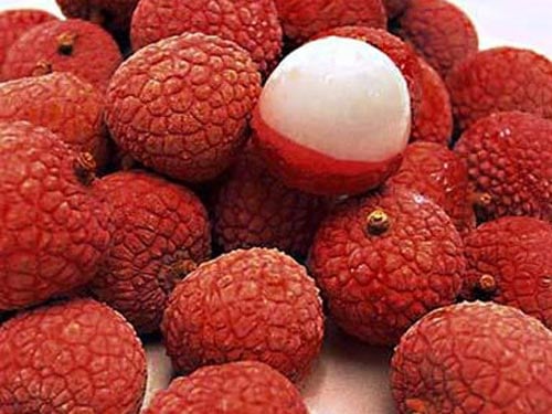 Ăn vải tươi khi đói sẽ khiến trong Sh88bet đăng ký miễn phí đột ngột bị ngấm quá nhiều đường có thể gây viêm nhiệt hoặc say với các triệu chứng như hoa mắt, chóng mặt, buồn nôn, chân tay bủn rủn.