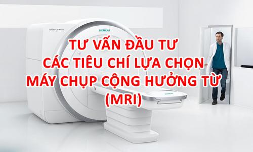Phương Trinh hiện tại xinh đẹp nhưng quá nhiều scandal và điều tiếng.