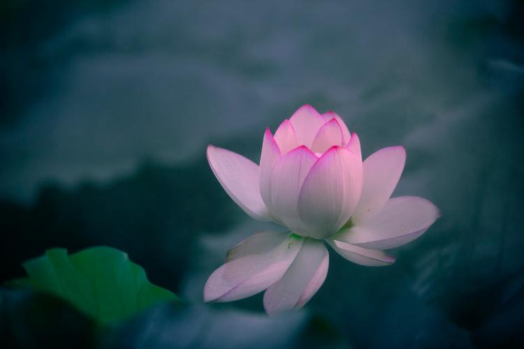 Hình ảnh đáng yêu của Angela Phương Trinh.