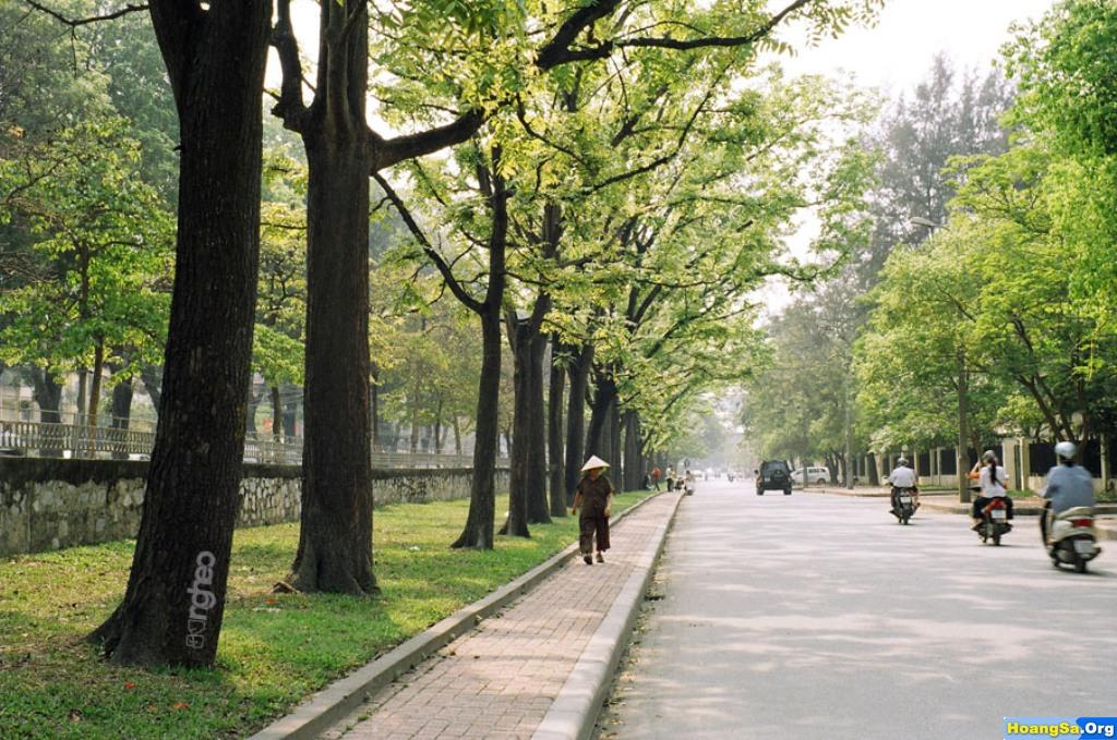 Đi bộ trên những con phố như Hoàng Diệu, Hàng Bài, Bà Triệu hay trước cổng Nhà thờ Lớn Hà Nội mùa thu để tận hưởng hương hoa sữa dường như đã thành niềm say mê của nhiều người yêu Hà Nội.