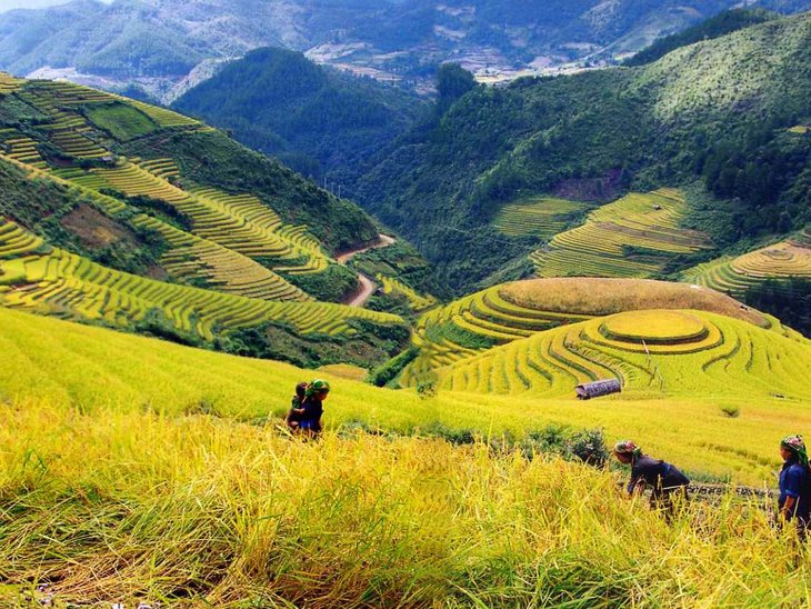 Cuối tháng 8, đầu tháng 9 là thời điểm lúa trên những thửa ruộng bậc thang ở đây đang chuyển dần từ xanh sang vàng.