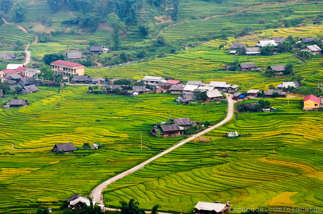Để chiêm ngưỡng những thửa ruộng bậc thang tầng tầng, lớp lớp, bạn có thể theo hướng Cầu Mây đến xã Tả Van, cách trung tâm thị trấn khoảng 8 km.