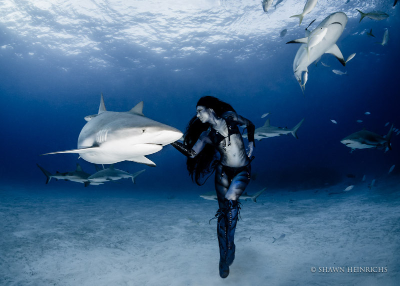 Đó là những hình ảnh do nhà quay phim dưới nước Shawn Heinrichs thực hiện cho bộ phim tài liệu 'Nước mắt của nàng tiên cá'.