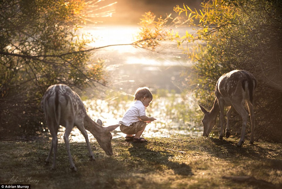 Adrian Murray không hề sắp xếp khi chụp ảnh cậu con trai nhỏ.