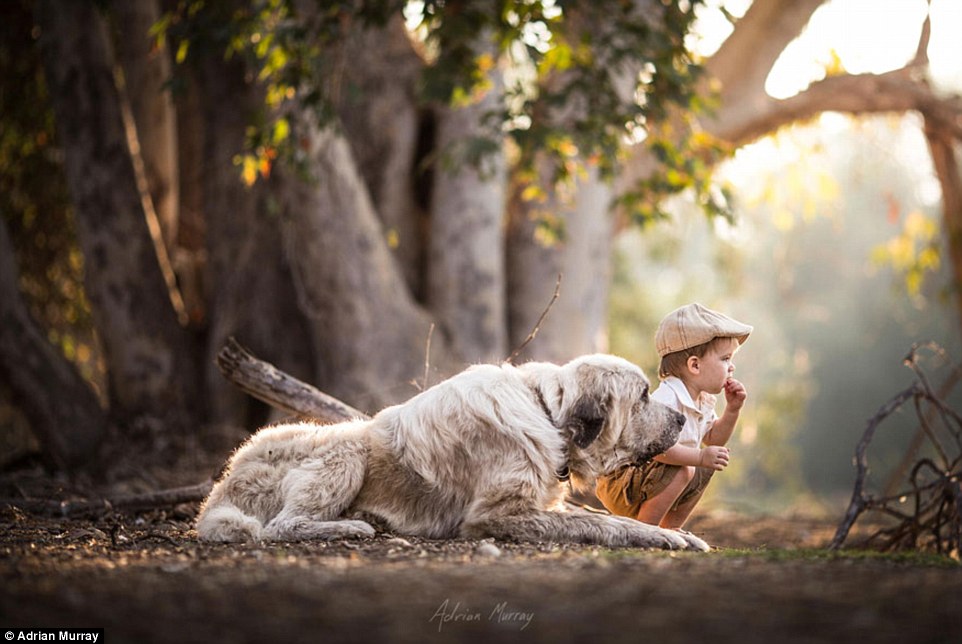 Adrian chỉ sử dụng phần mềm Lightroom để nâng cao hiệu ứng cho các bức ảnh này.