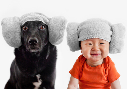 Giống nhau nè!