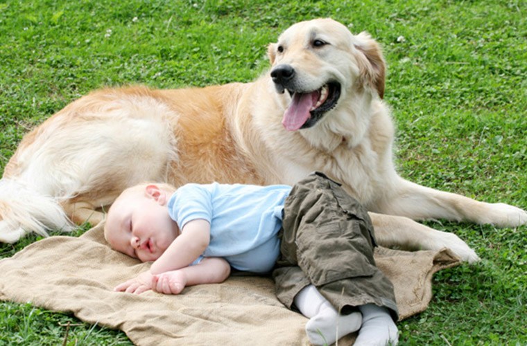 Có 'anh bạn' ở bên tôi yên tâm ngủ rồi.