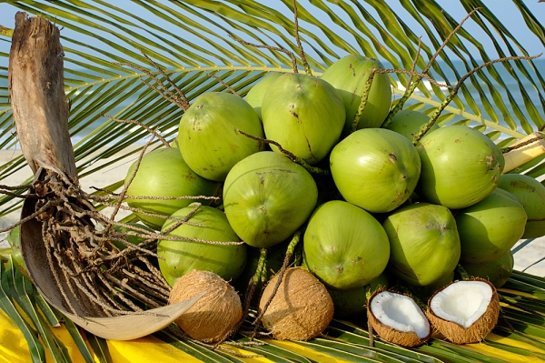 Uống nước dừa sẽ cải thiện sắc tố môi.
