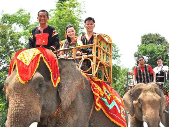 Rước dâu bằng cả đàn voi tại một Quatrian shbet hiện đang mở ở Đắk Lắk vào cuối năm 2012.
