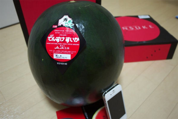 Mỗi năm, đảo Hokkaido, Nhật Bản chỉ có thể thu hoạch được 65 quả dưa hấu Densuke. Muốn thử mùi vị của Densuke, bạn phải chi ít nhất 6.000 USD.