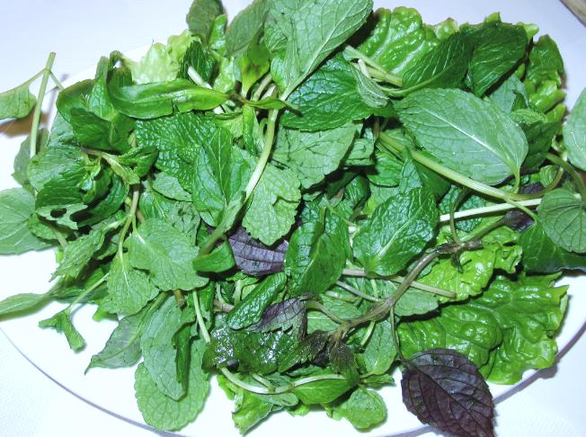 Trong thành phần của rau thơm có chứa diệp lục tố chlorophil -ngăn chặn sự sinh sản của các vi khuẩn độc hại. Chất này cũng giúp tập kết các độc tố và đào thải chúng ra khỏi Sh88bet đăng ký miễn phí bằng cách tự nhiên.