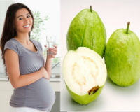 Những công dụng siêu bất ngờ của quả ổi bạn chưa biết
