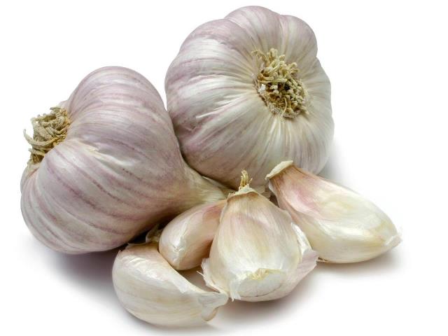 Tỏi chứa nhiều các vitamin A, B, C và các hoạt chất có khả năng sát trùng, kiềm dầu, tiêu diệt vi khuẩn, từ đó giúp điều trị mụn.