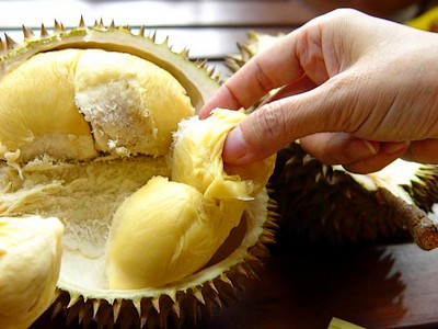 Sầu riêng - Không chỉ là loại quả ngon, sầu riêng còn được ví như viagra tự nhiên giúp chữa chứng yếu sinh lý ở cả nam và nữ.