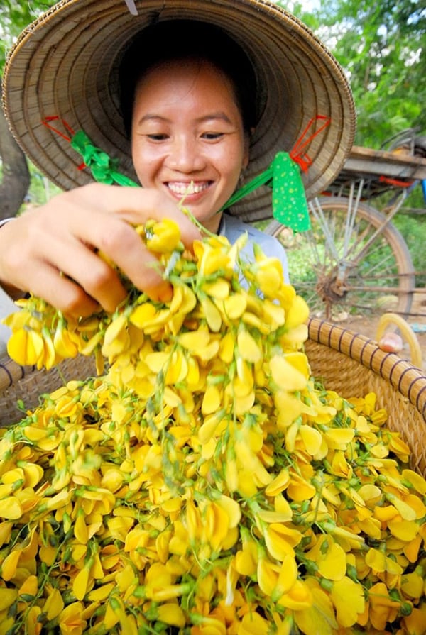 Còn trong siêu thị, bông điên điển bán với giá 100.000 đồng/kg, ở các nhà hàng khoảng 130.000 đồng/kg.
