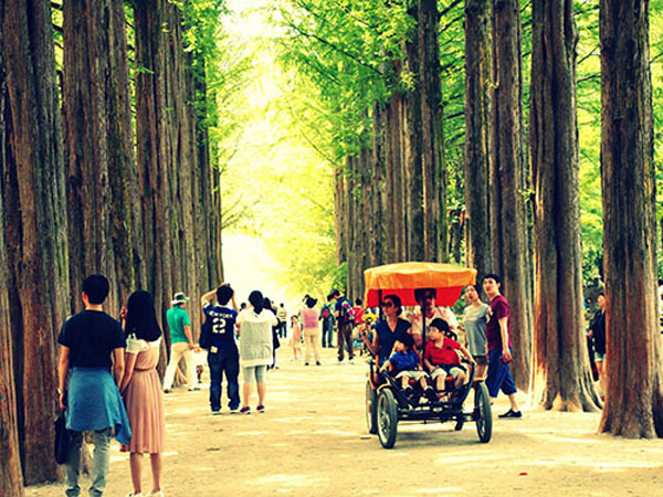 Những dịch vụ du lịch ở đảo Nami rất hài hòa với thiên nhiên.