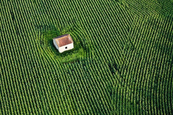 Căn nhà nằm giữa cánh đồng tại Pháp.