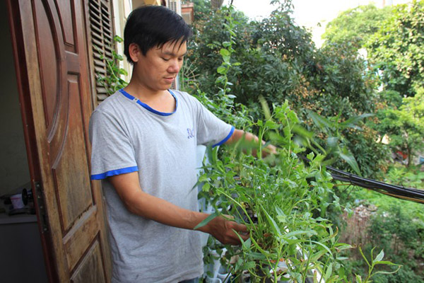 Chất dinh dưỡng sẽ hòa với nhau vào trong một thùng nước.