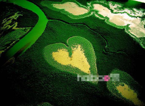 Hình ảnh tuyệt đẹp tại Mangrove, Voh, New Caledonia (Canada)